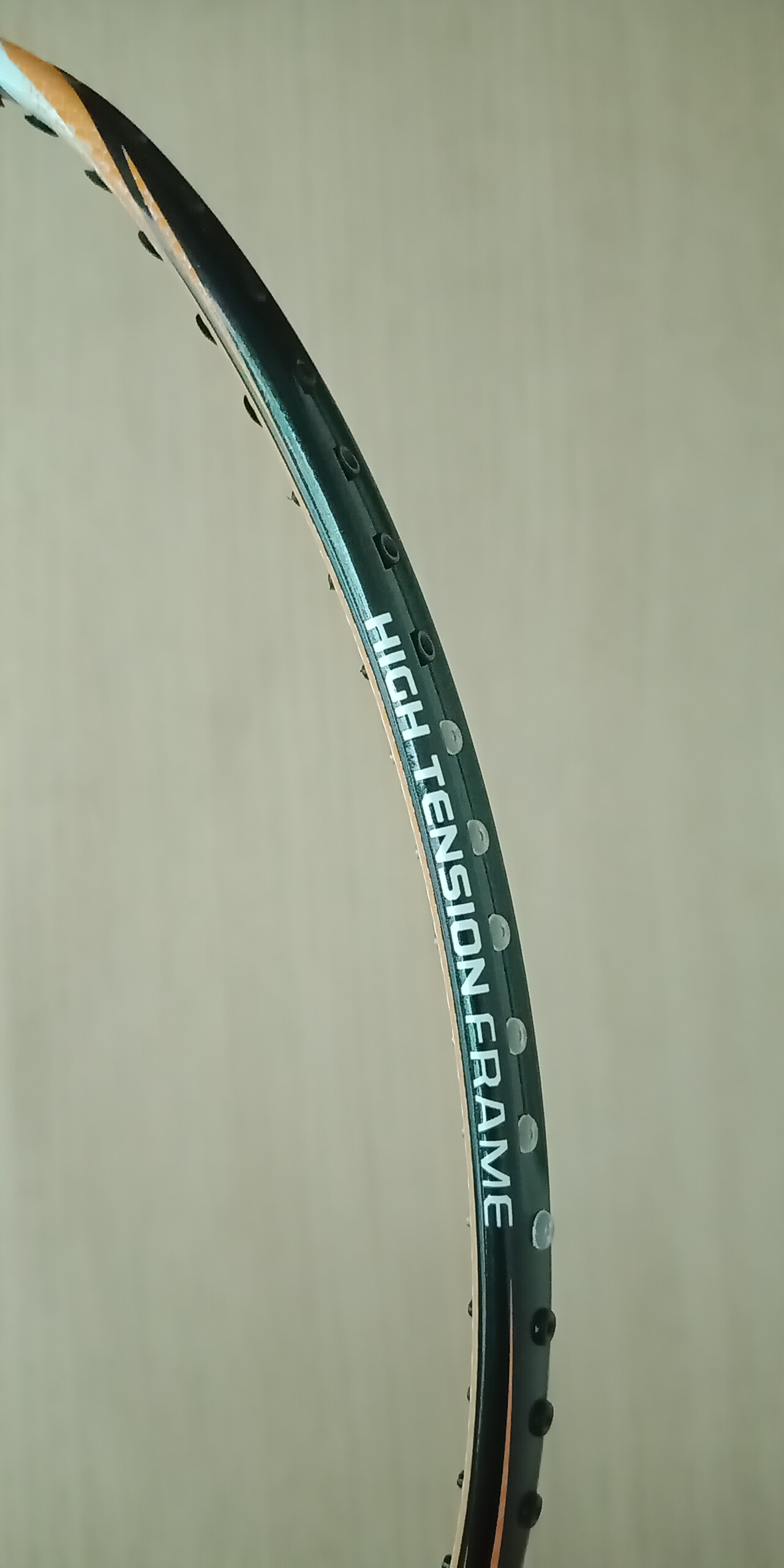 Dunlop Biomimetic Tour 1000