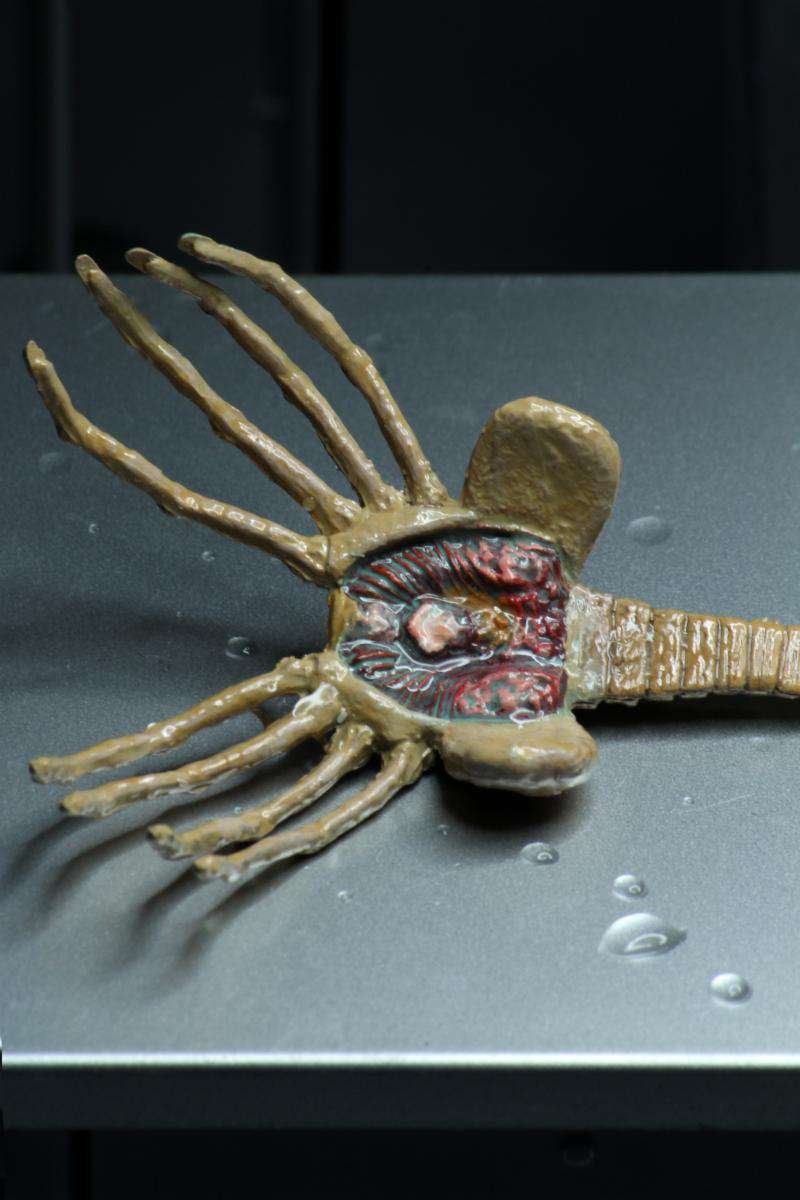 [สั่งจอง]Neca : Ultimate Alien Big Chap 40th Annniversary(9นิ้ว)