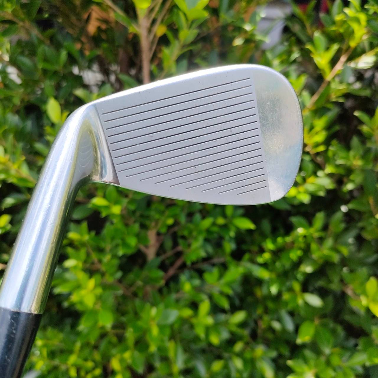 ชุดเหล็ก NIKE VR FORGED PRO COBO มีเหล็ก 4 - 9 PW เหล็ก FORGED คุณภาพสูง ก้าน DYNAMIC GOLD R200 ดีมากๆ เป็นชุดเหล็กสุดยอดคุณภาพอีกชุดนึงเลยครับ