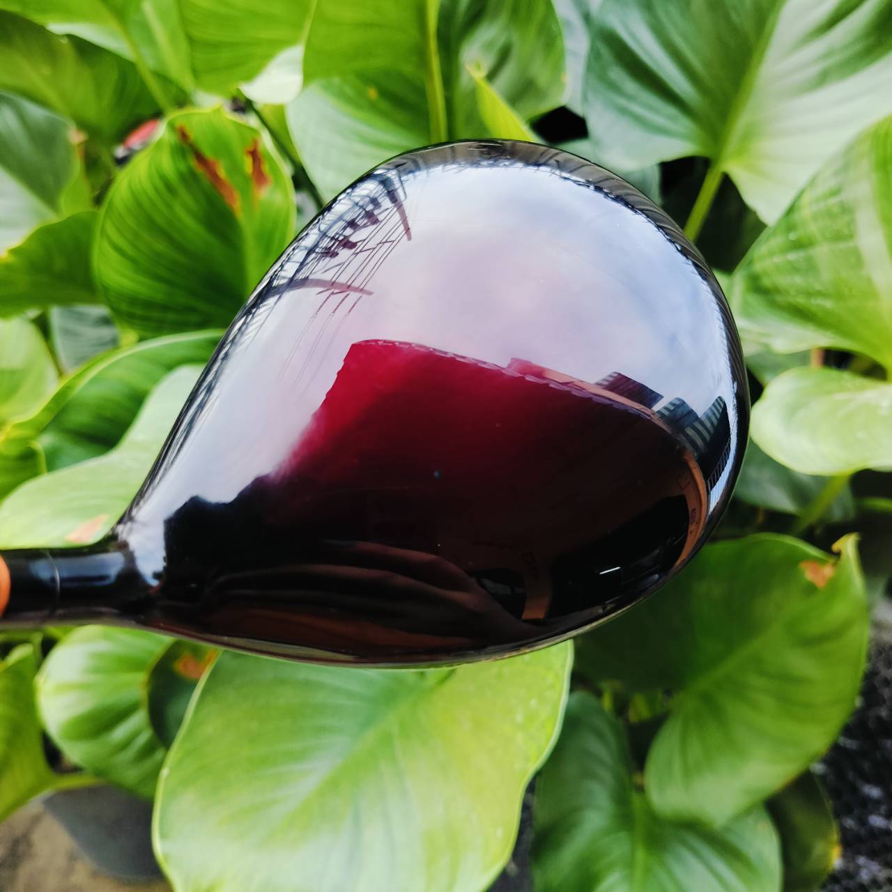 *** ไม้กอล์ฟสำหรับผู้หญิง *** DRIVER SWORD SNIPER WOOD LADY องศา 13.5 ไม้หน้าเด้งพรีเมี่ยมญี่ปุ่นต้นตำหรับ ไม้กอล์ฟพรีเมี่ยมมือสอง ของแท้ By NakaraLuxurious