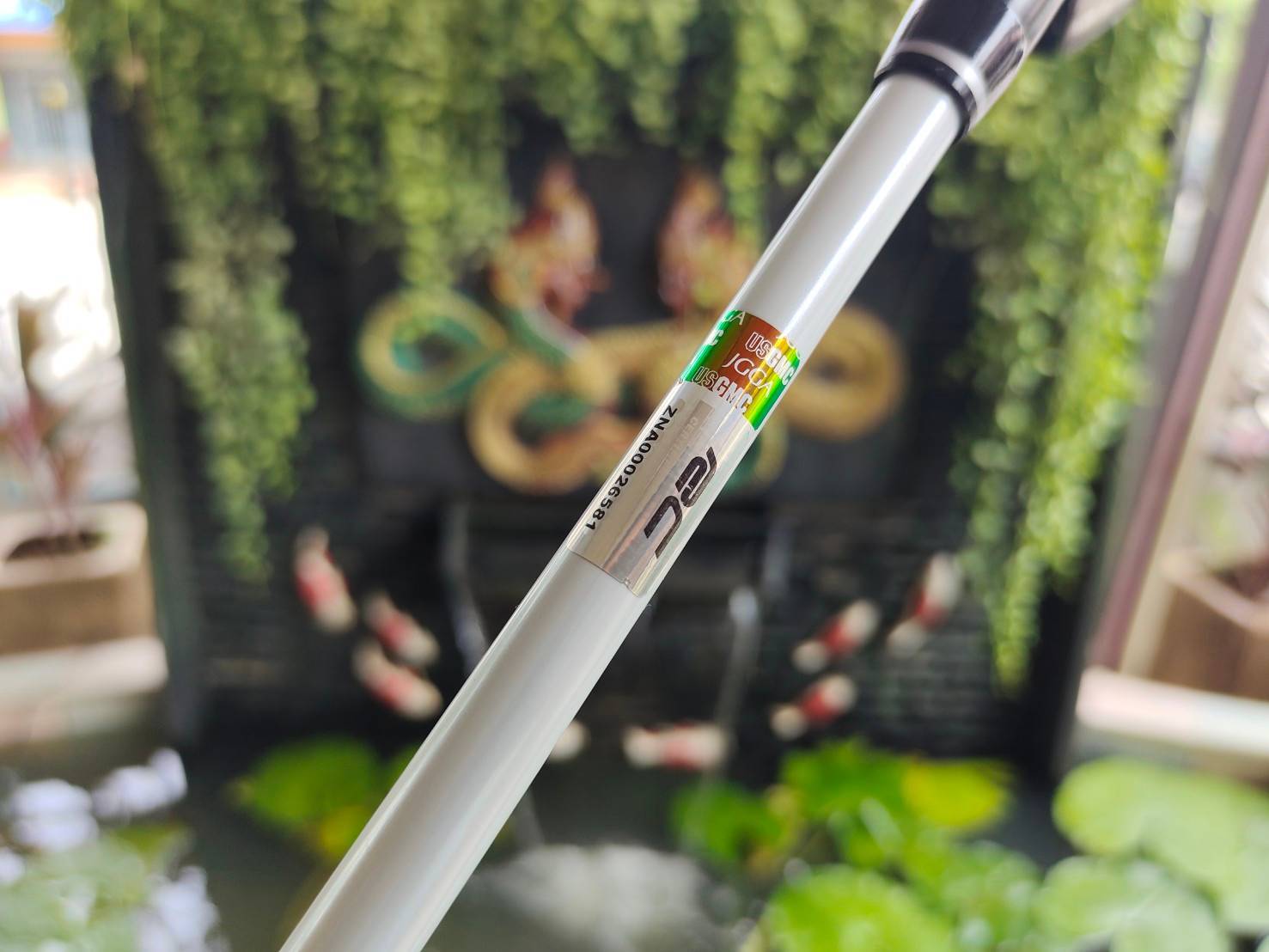 UT 4 Royal Collection