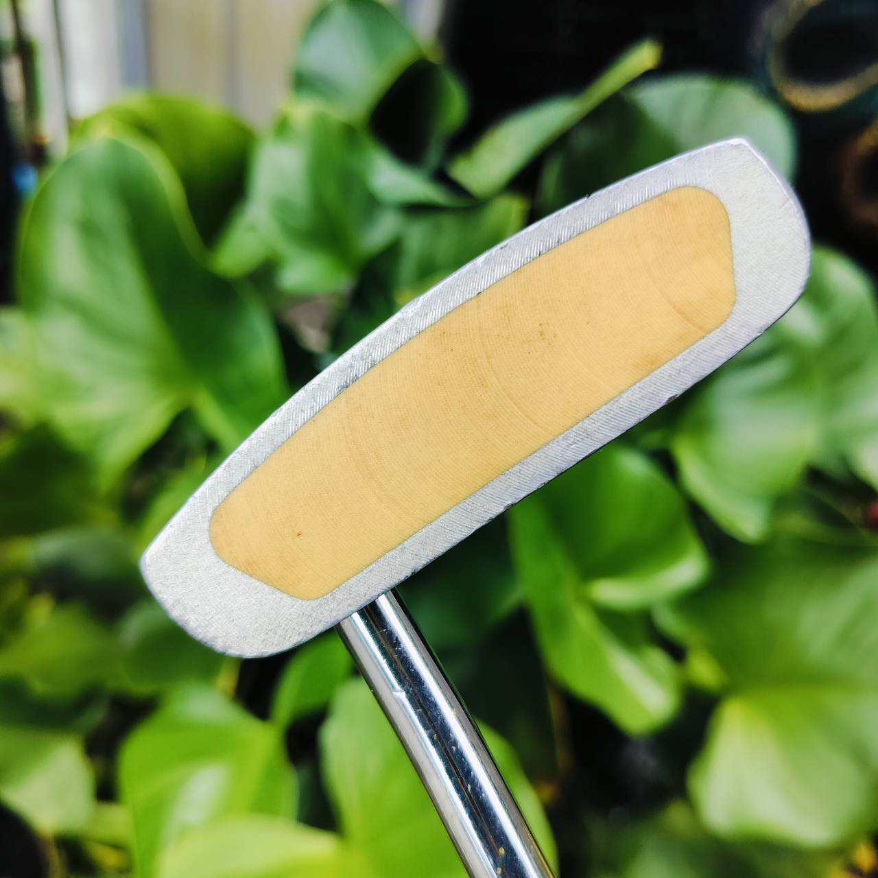 PUTTER PROKENNEX PK-31 ความยาว 34 นิ้ว แบบ 3 บอล เล็งง่ายมากกว่า 2 บอล ชดเชยสูง พัตต์ตรง บล๊านซ์ หน้าอินเซิร์ท พัตต์เกาะไลน์ดีมากเลยค่ะ ไม้กอล์ฟพรีเมี่ยมมือสอง ของแท้ By NakaraLuxurious