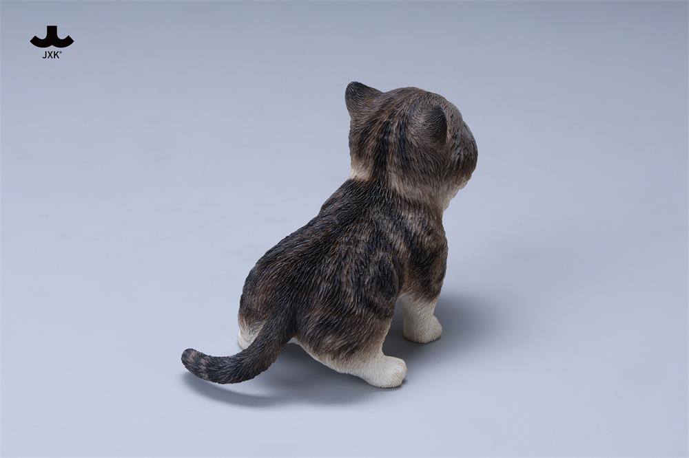 [สั่งจอง] JXK 1/6 : Kitten