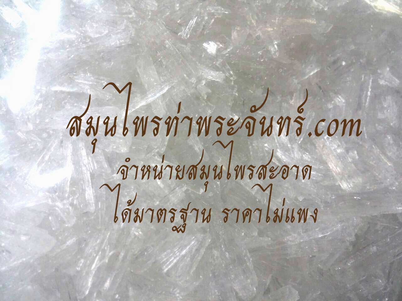 เมนทอล เกรดเอ