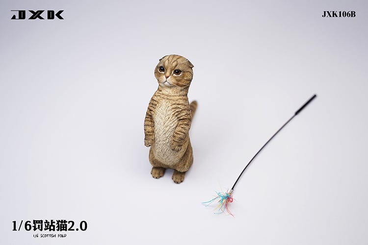 [สั่งจอง]JXK : Scottish Fold/Chckling/Duckling