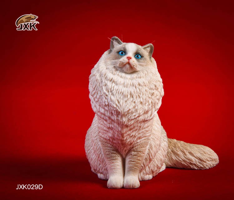 [สั่งจอง] JxK.Studio 1/6 Jxk029/ Jxk030 A/B/C/D -Ragdoll / British Shorthair Cat