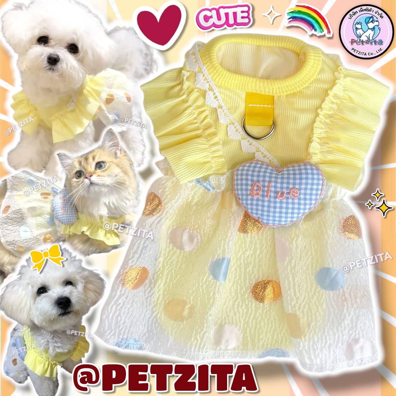 🇹🇭พร้อมส่ง🇹🇭 👗🔆✴️ เดรสคุณหนูดีเทลน่ารัก สีสันสดใส for pet เดรสสุนัข ชุดหมา ชุดแมว เสื้อผ้าสัตว์เลี้ยง