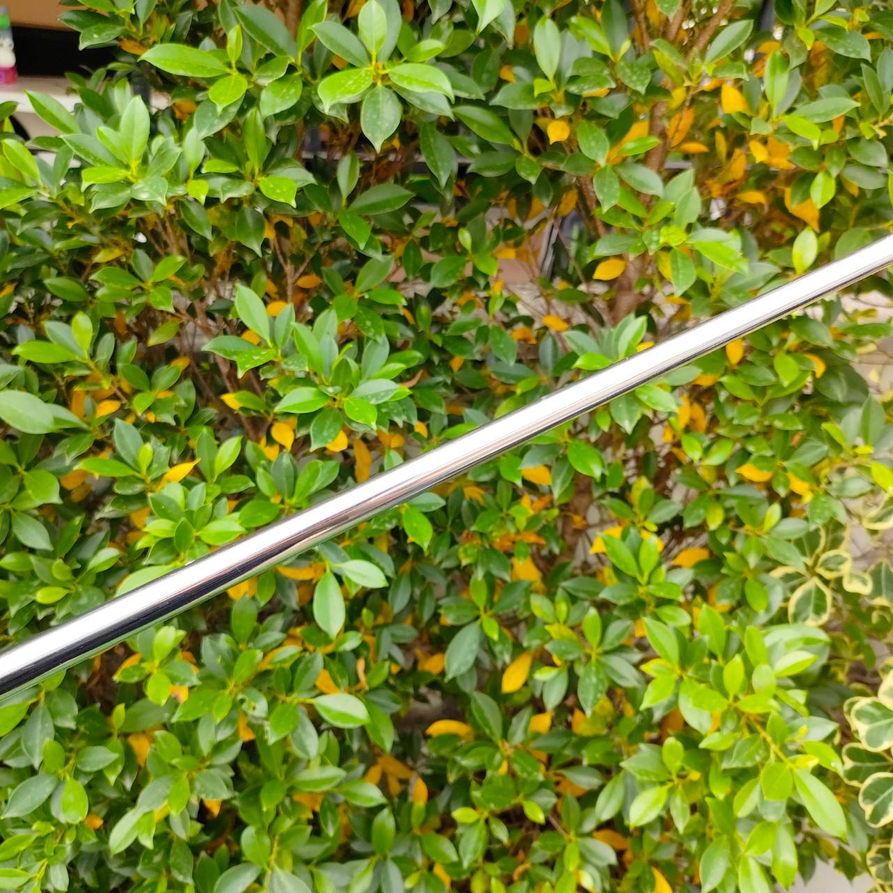 PUTTER ODYSSEY DUAL FORCE ROSSIE II ความยาว 34 นิ้ว ของดีมากๆๆๆๆ