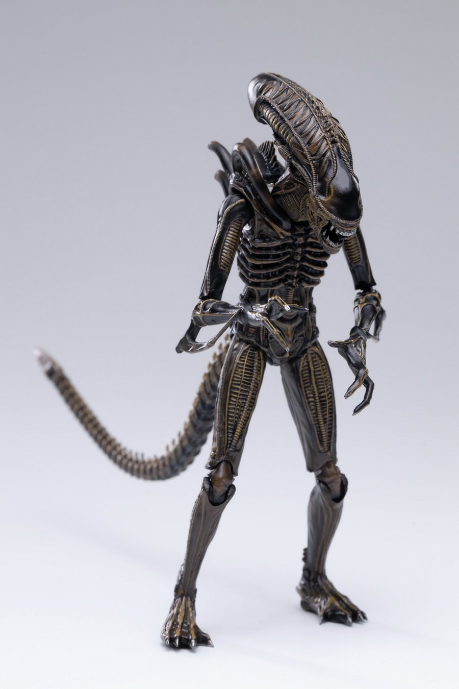 [สั่งจอง]Hiya toys : 1/18 Scale : Alien /Predator