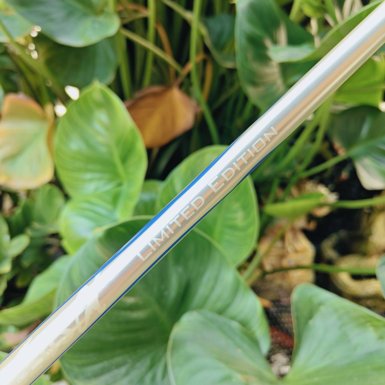 FW 3+ ROMARO RAY TYPE R – TOUR SELECT ⛳ ก้าน BASILEUS (แค่ก้านก็เกินคุ้ม) ของหายาก ทัวร์สเปกแท้ๆ!