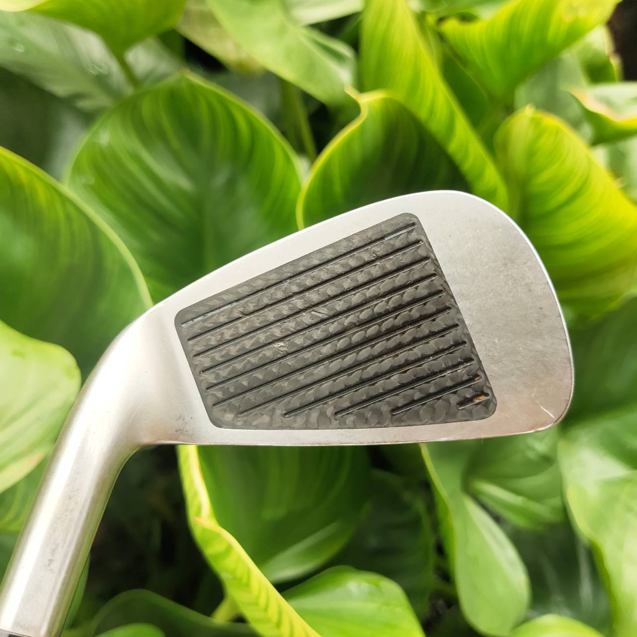 ** ไม้กอล์ฟผู้หญิง ** ชุดเหล็ก DAIWA SV COMPO เทคโนโลยี "Twin Cut Sole" หน้าเคฟล่าทั้งเซ็ต