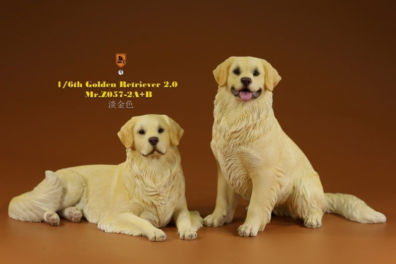 [สั่งจอง]Mr.Z MRZ057 1/6 : Golden Retriever 2.0
