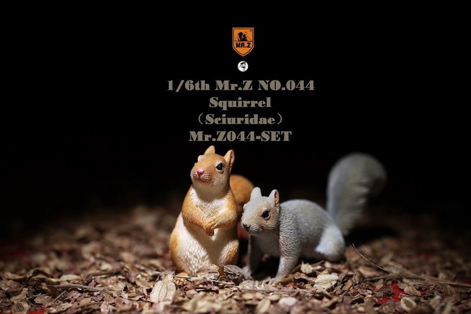 [สั่งจอง]Mr. Z Animal Model Mr.Z044 1/6th : Squirrell [Set A/B]