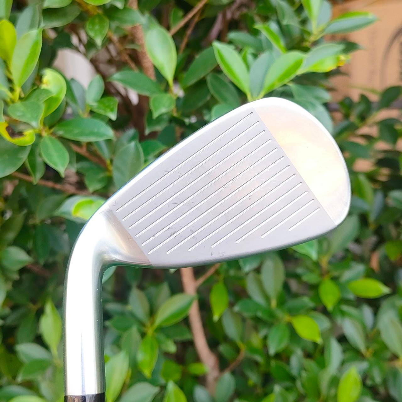 ชุดเหล็ก Mizuno JPX-800 HD ชดเชยความผิดพลาดได้มากสุด