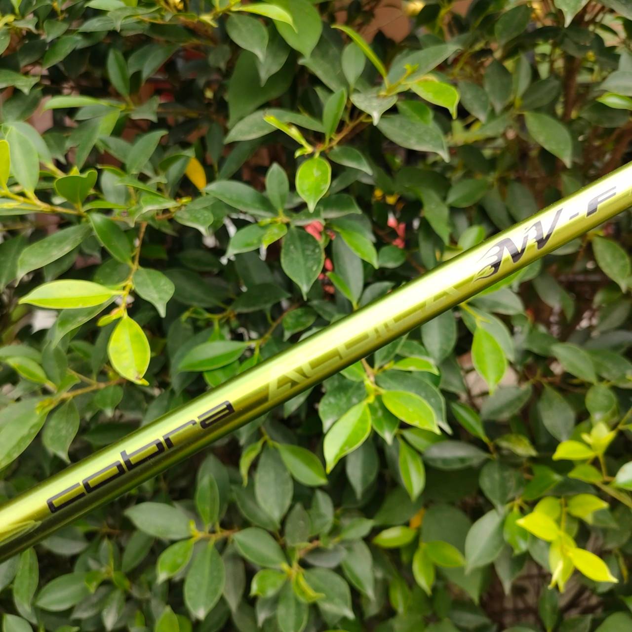 FW3 KING COBRA F/SPEED HYPER STEEL ก้าน ALDILA NV-F FLEX R ตีไกลสุดขั้ว และตีง่าย ฟาดเป็นโดน ลูกลอยง่าย มั่นใจเวลาตี