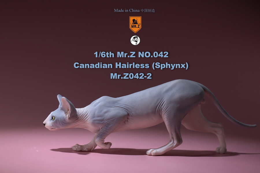 [สั่งจอง]แมวสฟิงก์ แมวน้อยขนกลับด้าน 1/6 Mr. Z Animal Model No.42: 1/6th Canadian Hairless (Sphynx)