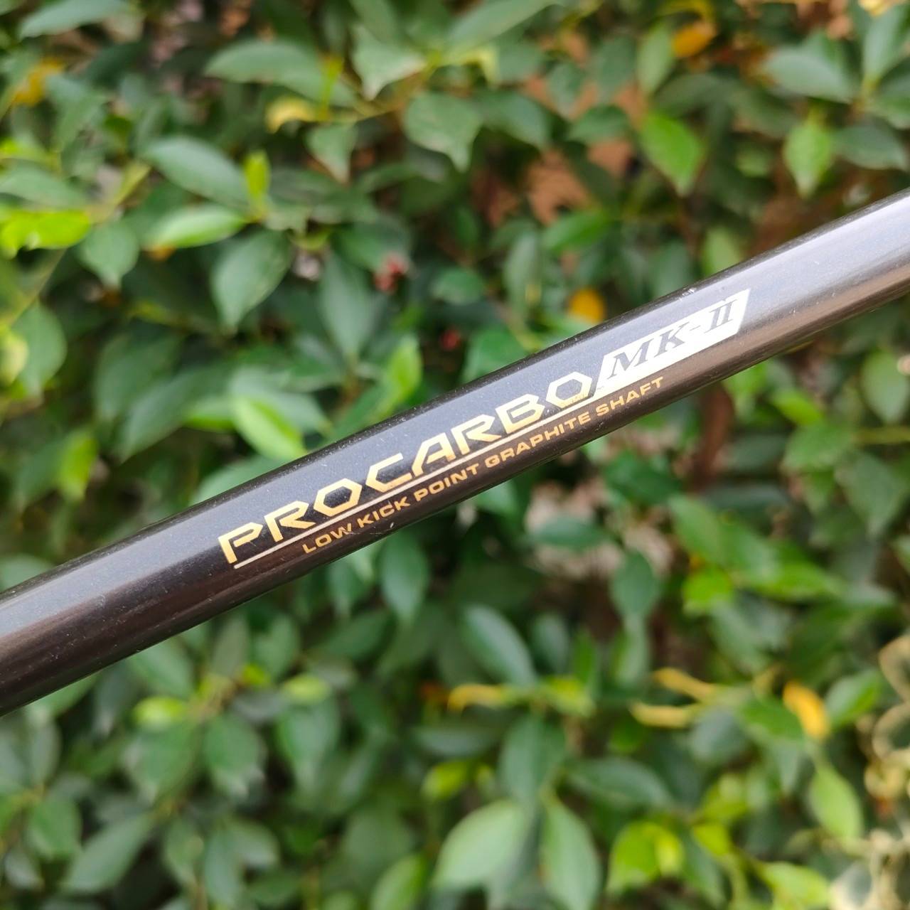 เหล็ก 5 DAIWA TEAM DAIWA FORGED CAVITY BLADE DG-501 ก้าน PROCARBO MK-II เหล็กตีง่ายมาก ก้านกราไฟต์คุณภาพอันดับ 1