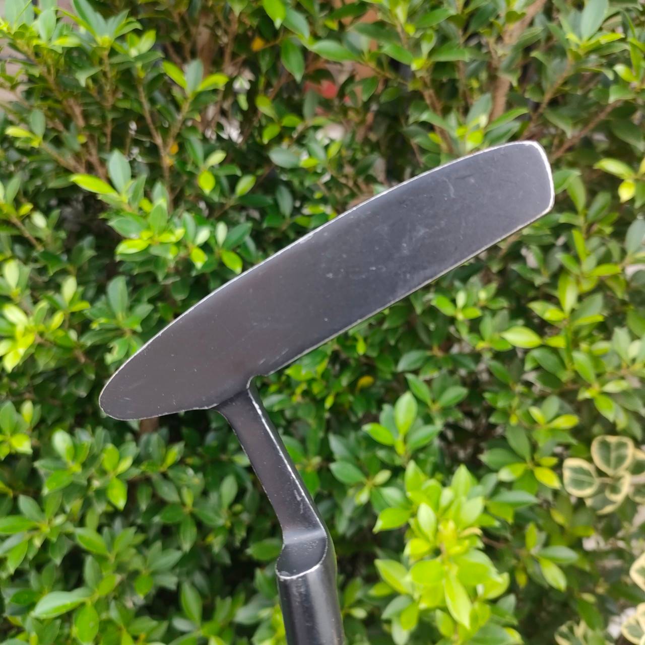 PUTTER TRI EYE ความยาวของไม้ 34 นิ้ว ทรงสแตนดาร์ด พัตต์ง่าย หน้ายาว แม้พัตต์ไม่ตรงกลาง แบบเป๊ะๆ แต่ลูกก็ยังหมุนตรงดี