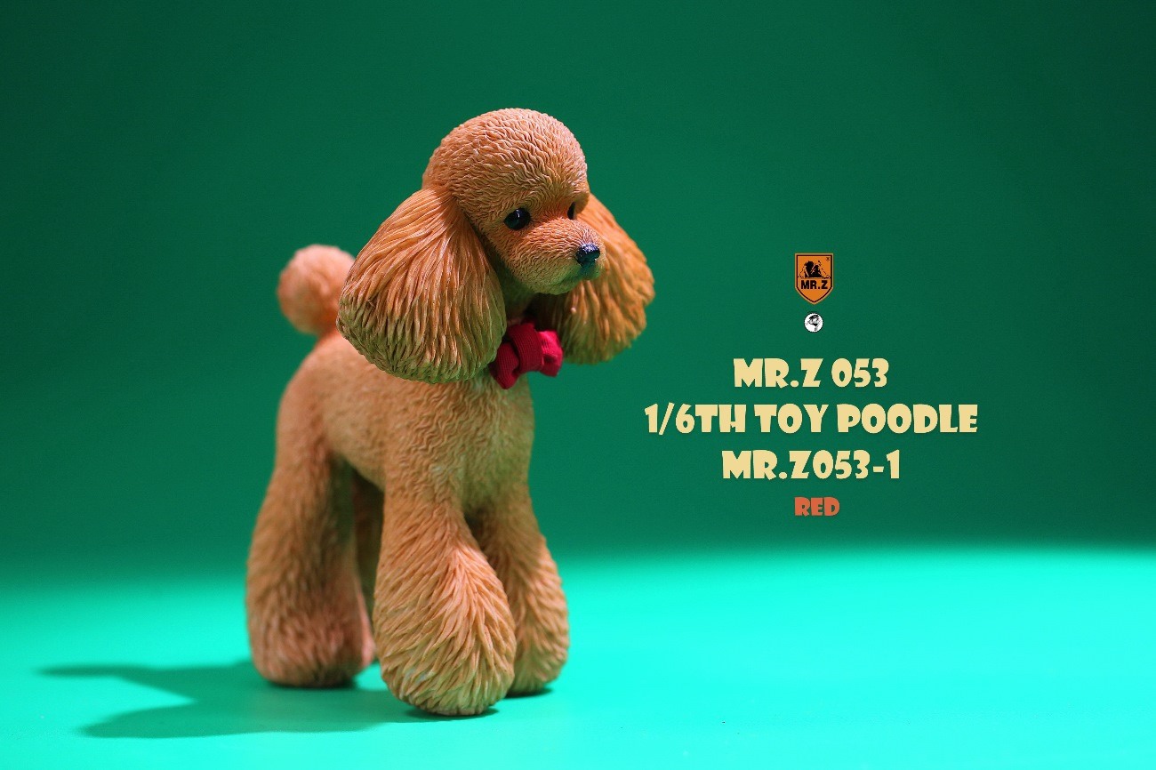 [สั่งจอง]Mr.Z MRZ053 animal model 1/6 : Toy Poodle