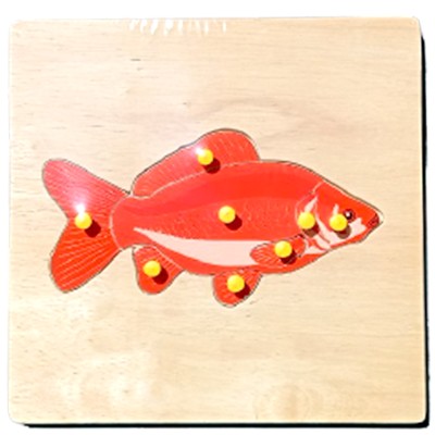 ภาพตัดต่อรูปโครงกระดูก ราคาต่อ 1 แบบ ,ของเล่นไม้, ของเล่นเสริมพัฒนาการ, ของเล่นเด็ก, สื่อการสอน,มอนเตสซอรี่ ,montessori, สื่อการสอนประถม