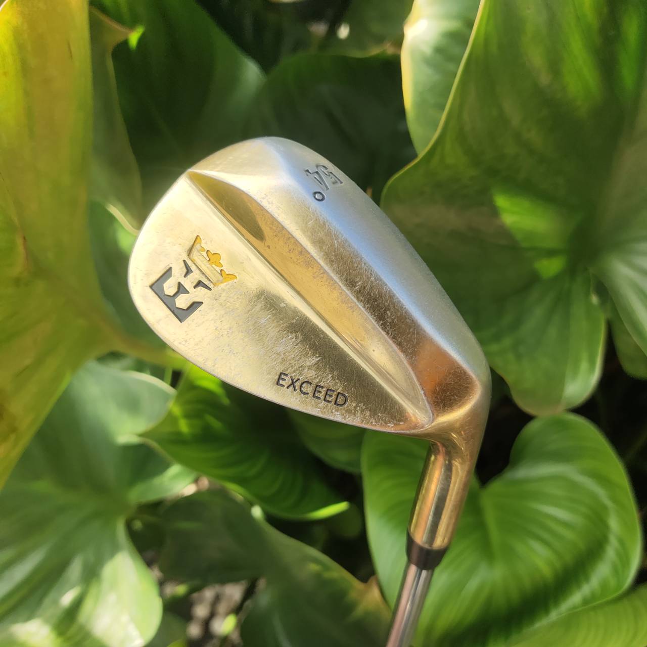 WEDGE EXCEED GOLD องศา 54 หน้าตะไบ ตกหยุดถอยๆ โหดมาก!!! วัสดุพรีเมี่ยม สีทอง สวยงามและหรูหรามาก!!!