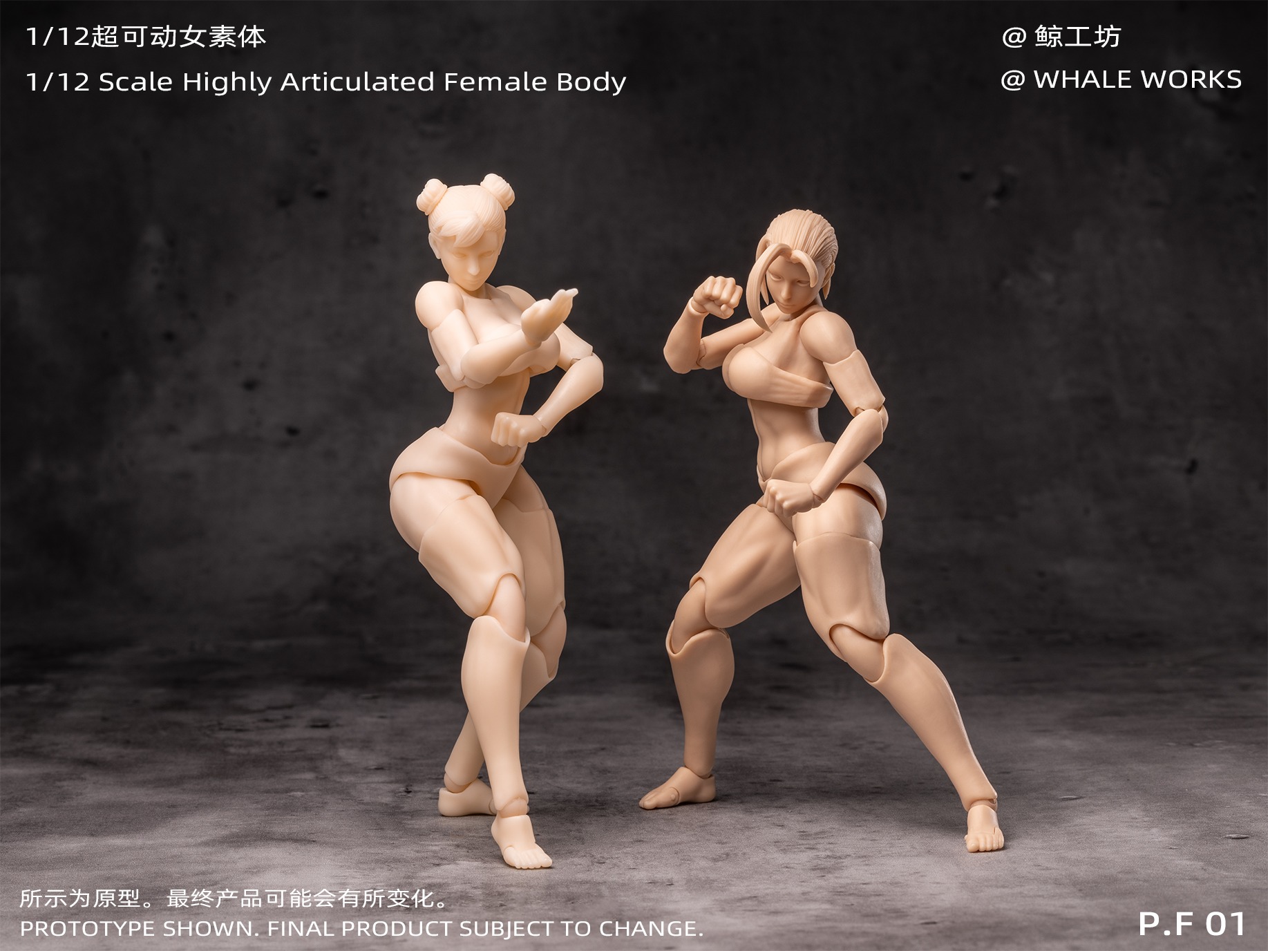 [สั่งจอง]Whale Works 1/12 : Female body