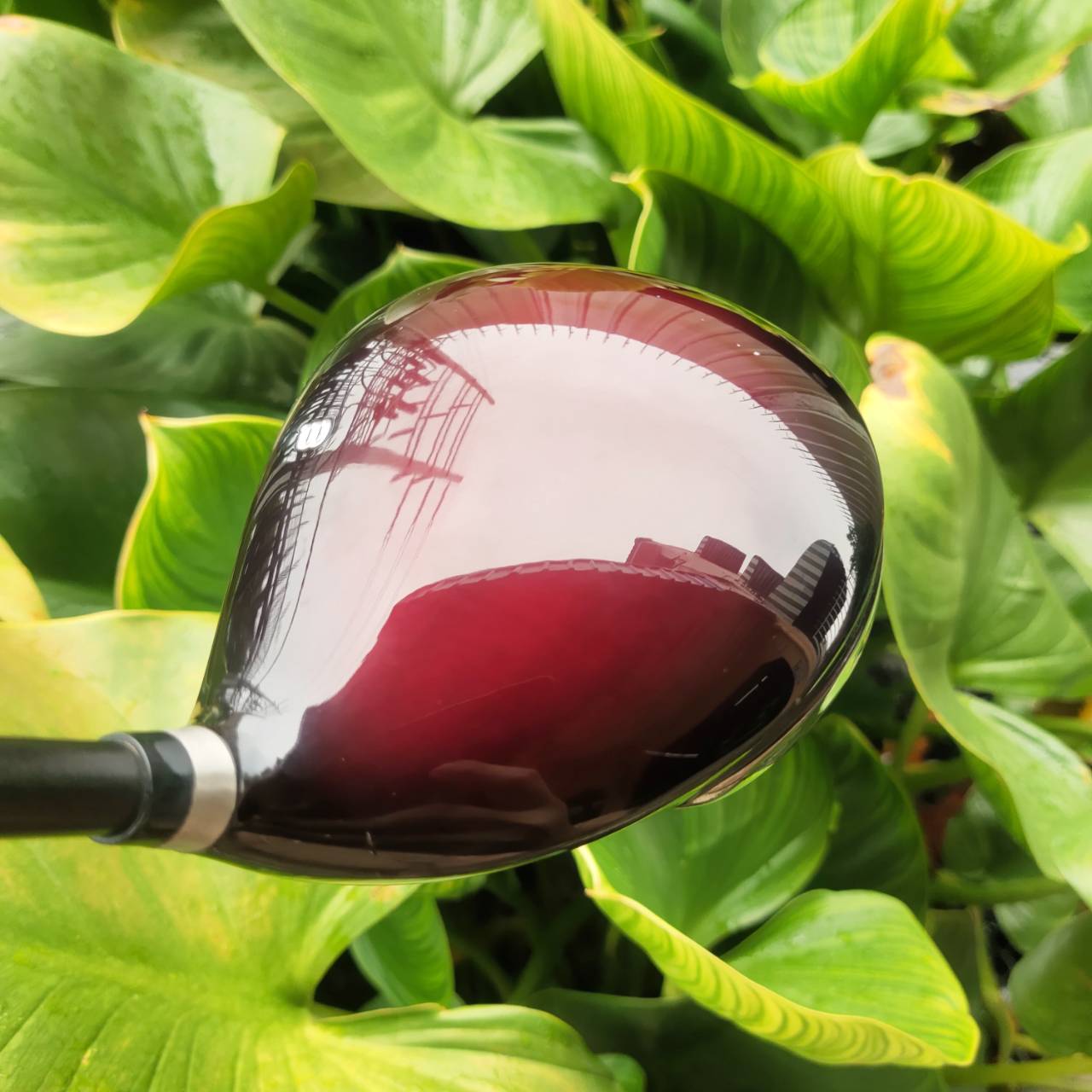 Driver WILSON DEEPRED DISTANCE เน้นตีไกล ก้าน GRAFALLOY PROLITE+ หัวเบต้าไทเทเนี่ยม หน้าเด้ง