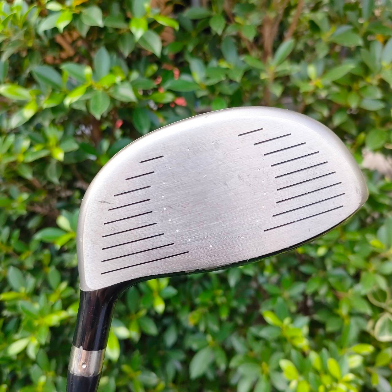 DRIVER NIKE SQ SUMO 460 ก้าน TOUR AD N65 ก้านดีมาก FLEX S องศา 10.5 ตีง่ายมากครับ