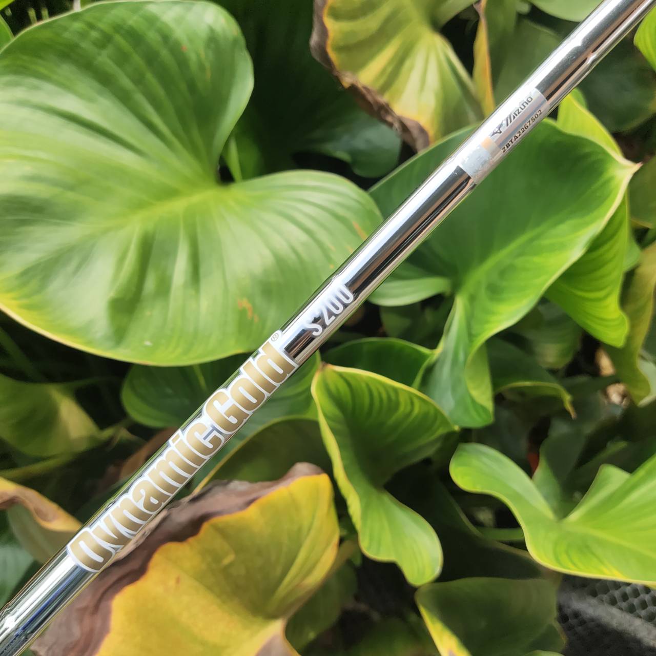 LW PING EYE2+ COPPER เวดจ์ที่นักกอล์ฟทั่วโลกตามหา! LW ในชุดปกติไม่มี เป็นรุ่น + และ เป็นรุ่นทองแดง