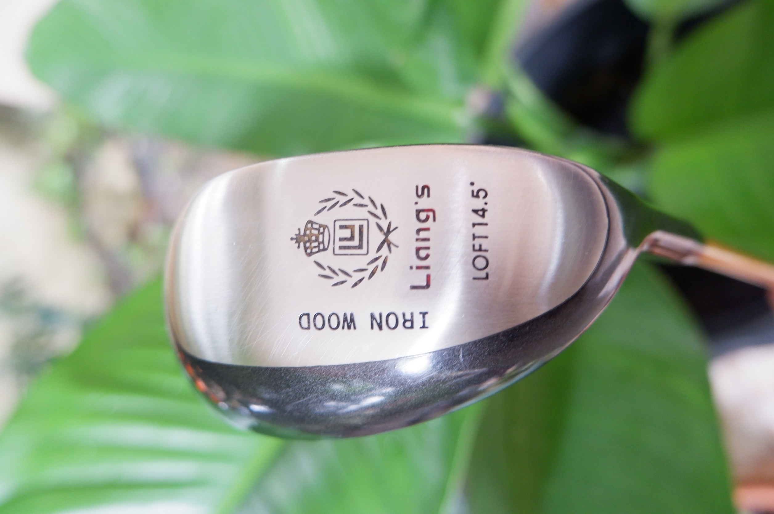 HYBRID iron wood liang.s