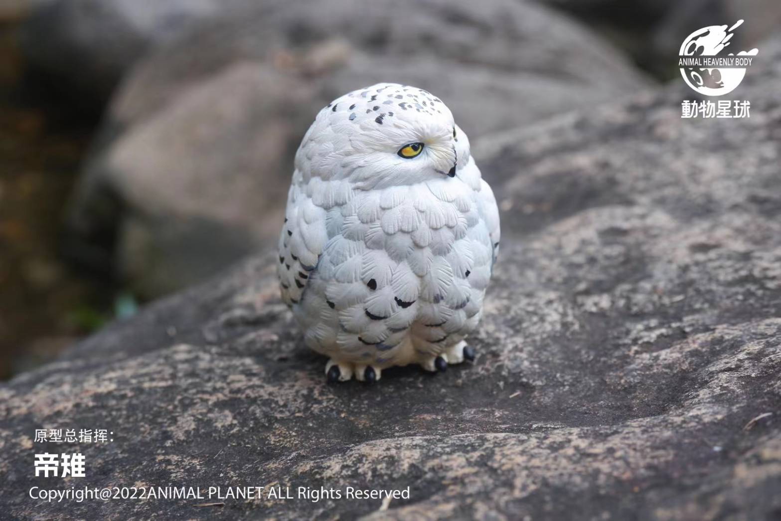 [สั่งจอง]Animal Planet : a series of laugh and grow fat No.10 -Bird