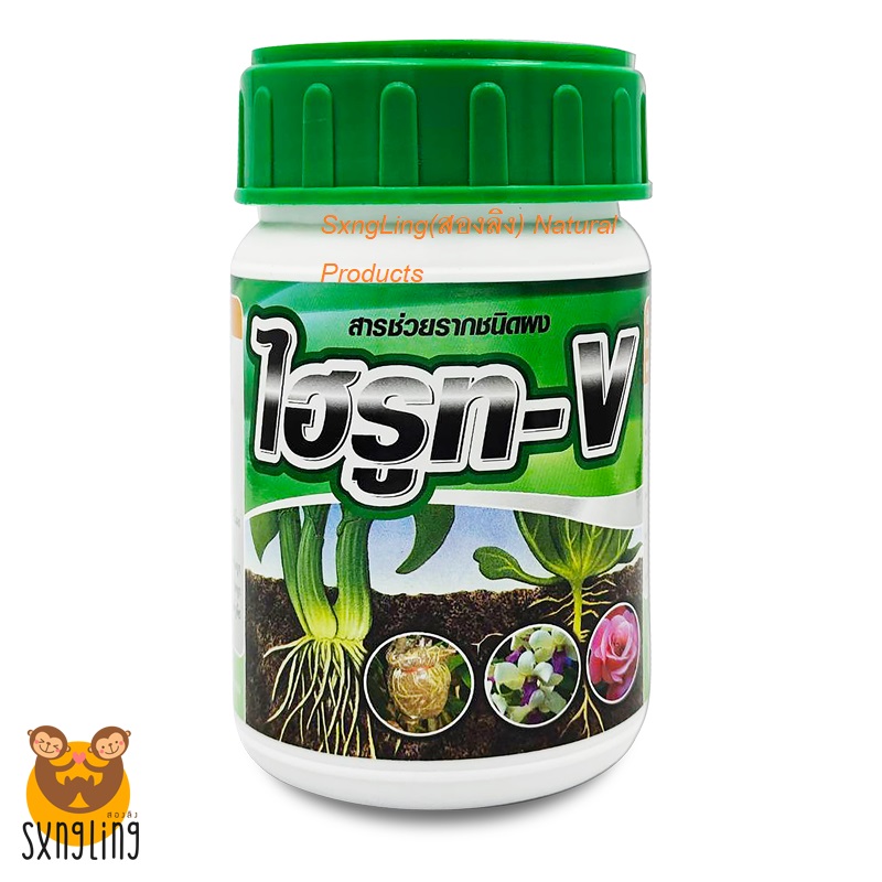 ไฮรูท-V (ผงเร่งราก สารช่วยรากชนิดผง) แบบกระปุกบรรจุ 100 กรัม
