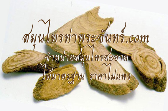 เถาวัลย์เปรียงแห้ง