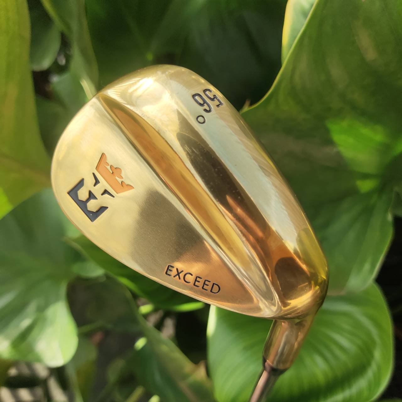 WEDGE EXCEED GOLD หน้าตะไบ องศา 56 ตกหยุดถอยๆ โหดมาก!!! วัสดุพรีเมี่ยม สีทอง สวยงามและหรูหรามาก!!!