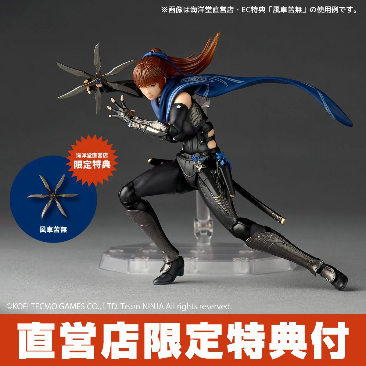 [สั่งจอง]Kaiyodo Amazing Yamaguchi : Ninja Gaiden 3: Razor's Edge [Bonus Ver] - Ryu Hayabusa