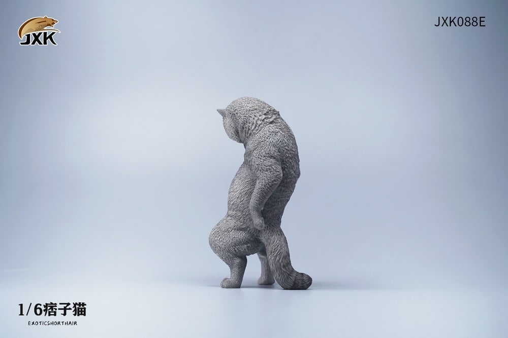 [สั่งจอง]JXK JXK088 1/6 : Exoticshorthair