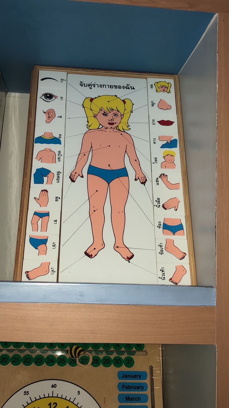 ของเล่น, ของเล่นเด็ก, จิ๊กซอว์, ตัวต่อ, จับคู่ร่างกายของฉัน (ภาษาอังกฤษ) , ของเล่นไม้, ของเล่นเสริมพัฒนาการ, ของเล่นเด็กอนุบาล, สื่อการสอนเด็กอนุบาล