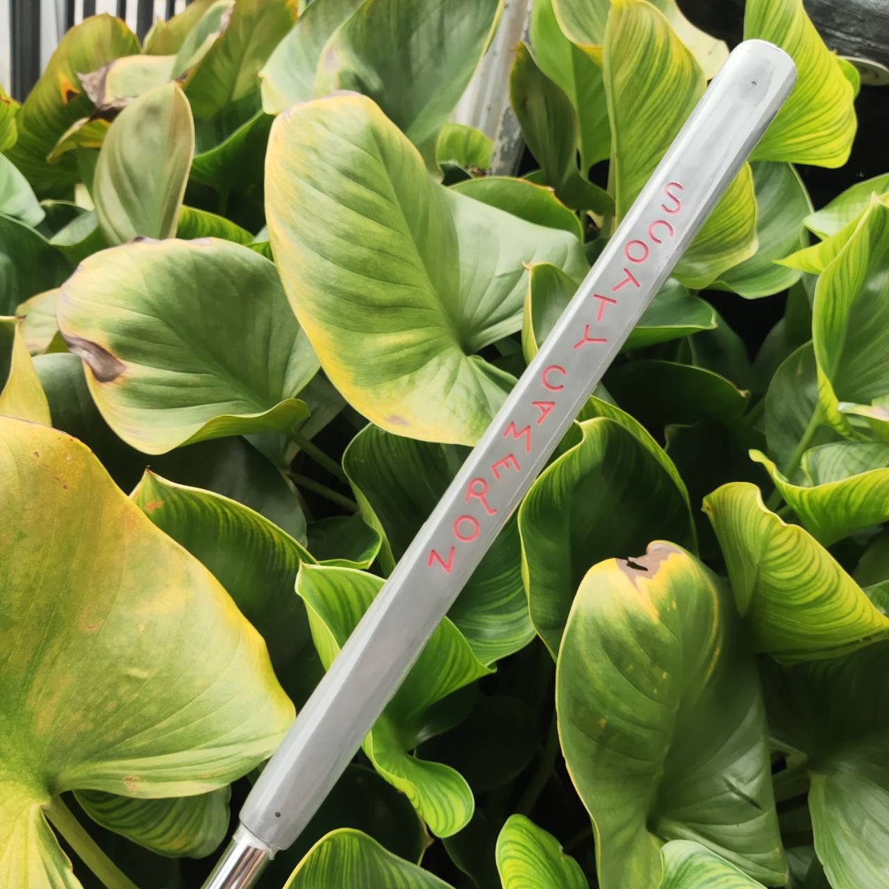 PUTTER SCOTTY CAMERON California Sonoma (เหมือนของใหม่ กริพยังไม่แกะพลาสติก)