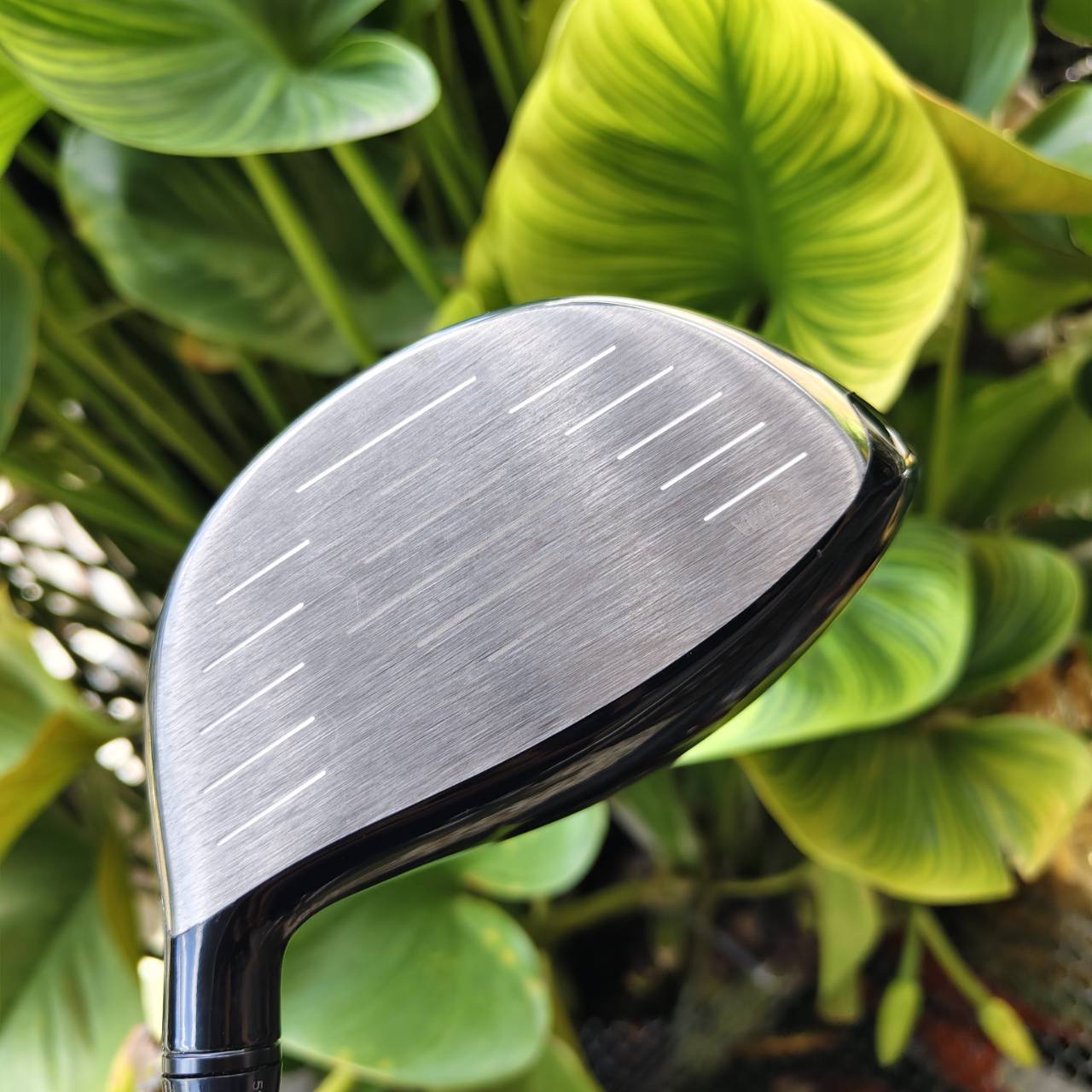 HONMA TR20 DRIVER 9°“ เมื่อพลังแห่งศิลปะ และประสิทธิภาพ หลอมรวมกัน” ดีไซน์ระดับ Masterpiece