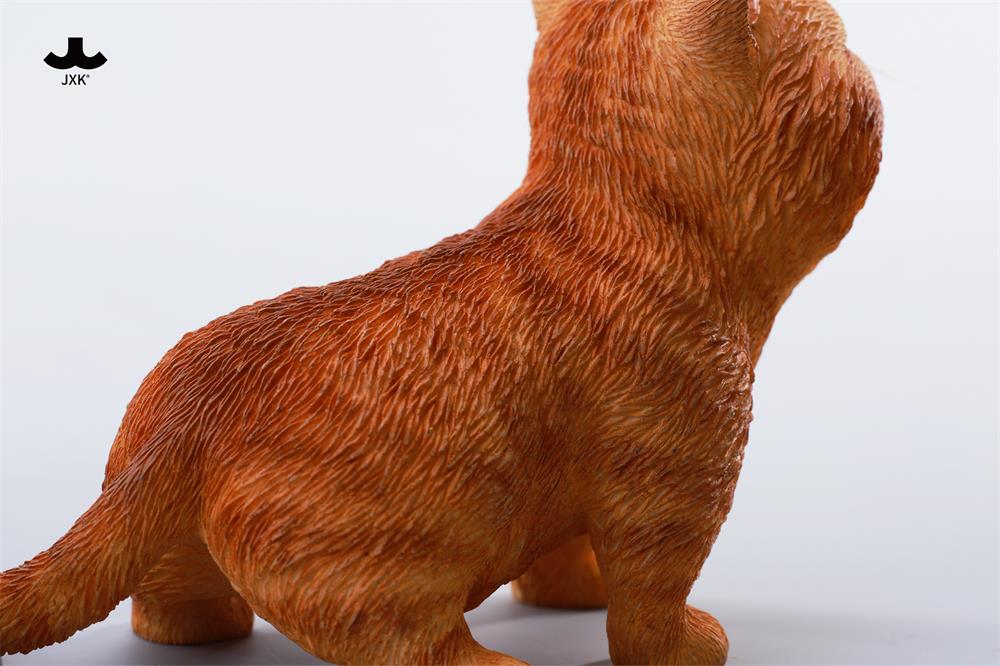 [สั่งจอง] JXK 1/6 : Kitten