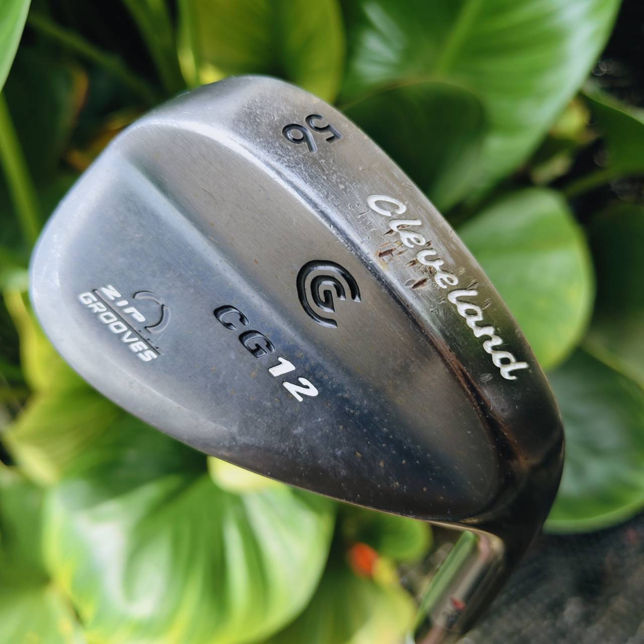 WEDGE CG12 ZIP GROOVE 56° BOUNCE 10 – ช็อตรอบกรีนแม่นยำ เหมาะระเบิดทราย!