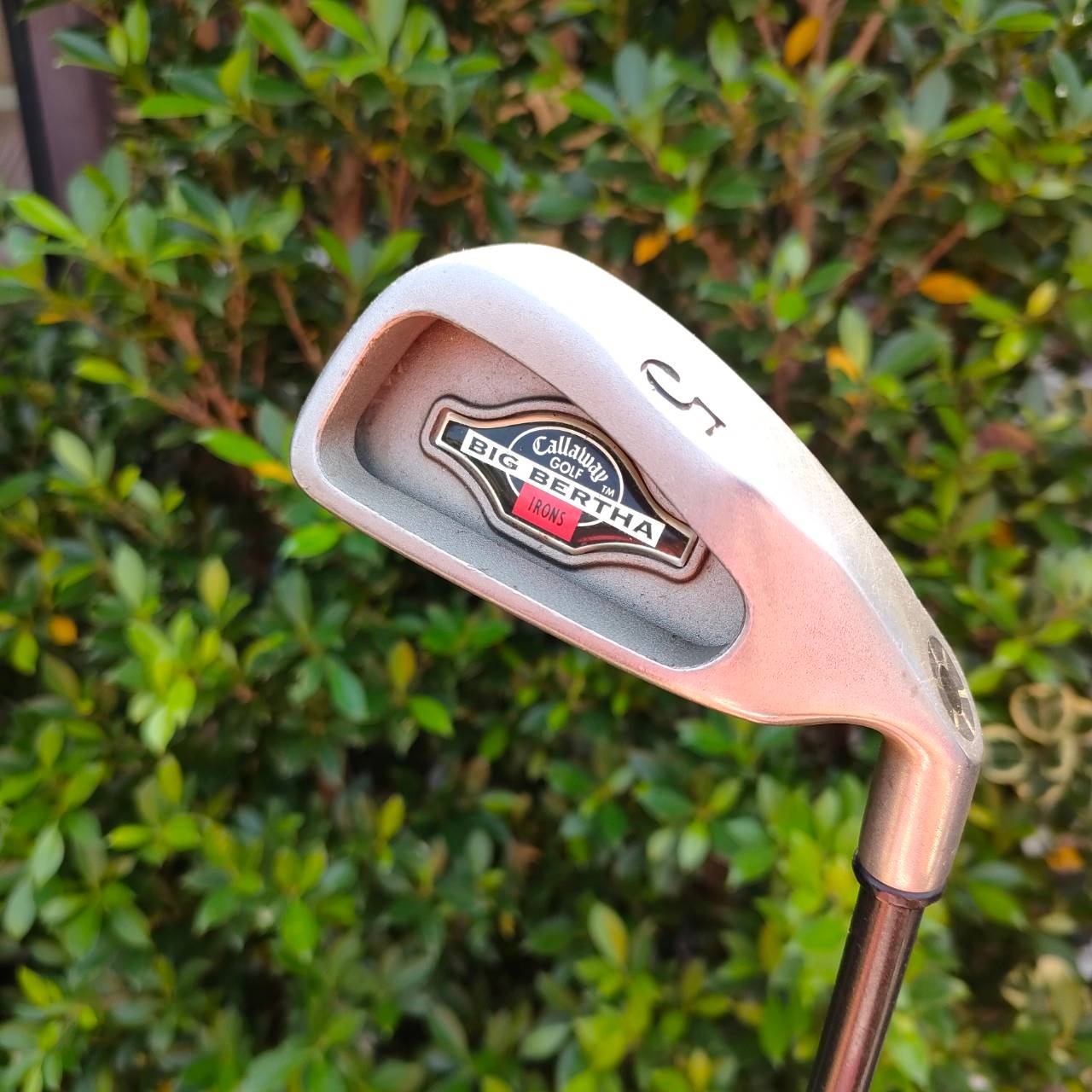 ชุดเหล็ก CALLAWAY BIG BERTHA มีเหล็ก 4 - 9 PW SW ก้าน RCH96 FLEX FIRM ชุดเหล็กยอดนิยมตลอดกาล