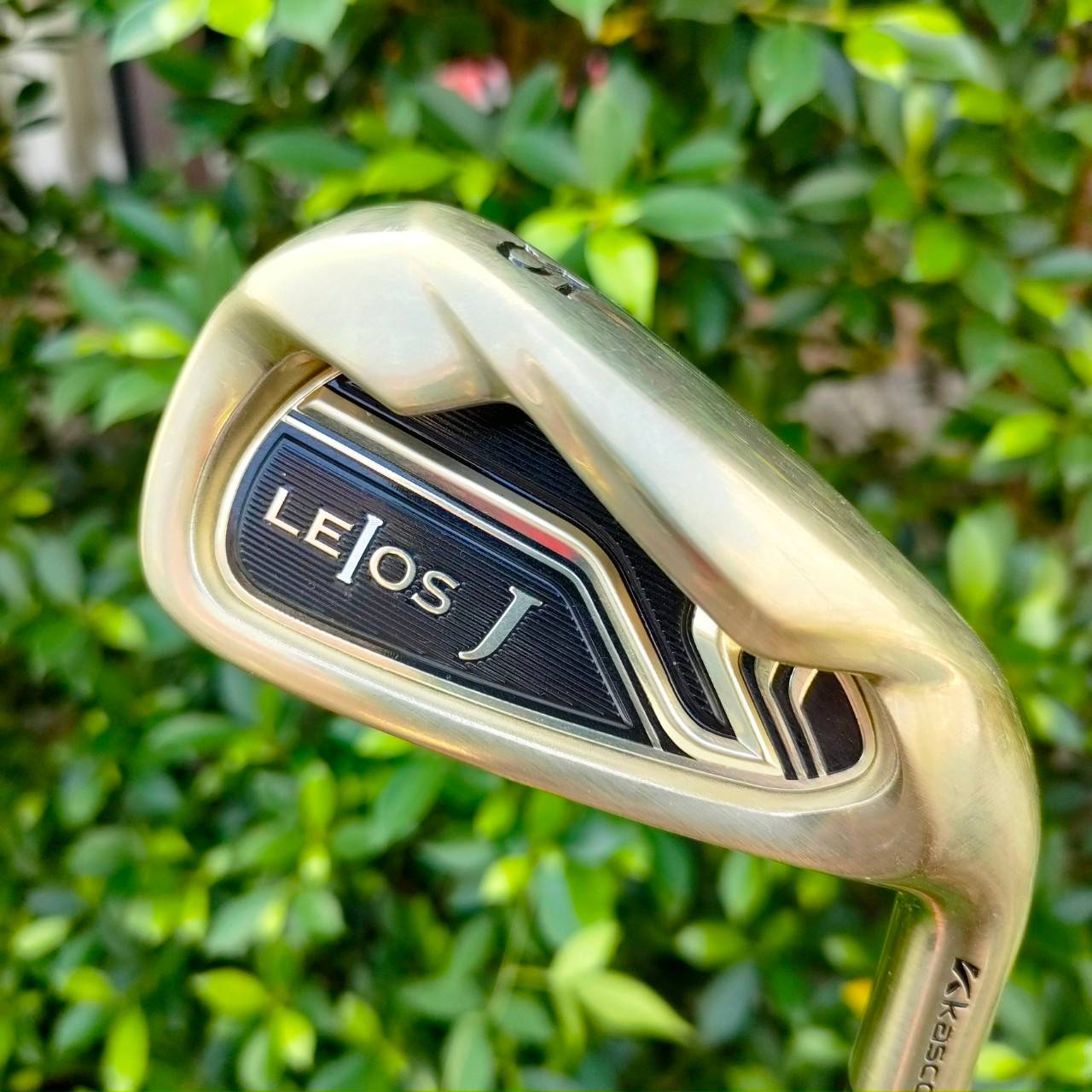 ชุดเหล็ก KASCO LELOS J ชุดเหล็กหน้าเด้งแบบมากๆ สีทองสวยหรูสุดพรีเมี่ยม จากประเทศญี่ปุ่น ทั้งหมด 8 ชิ้น