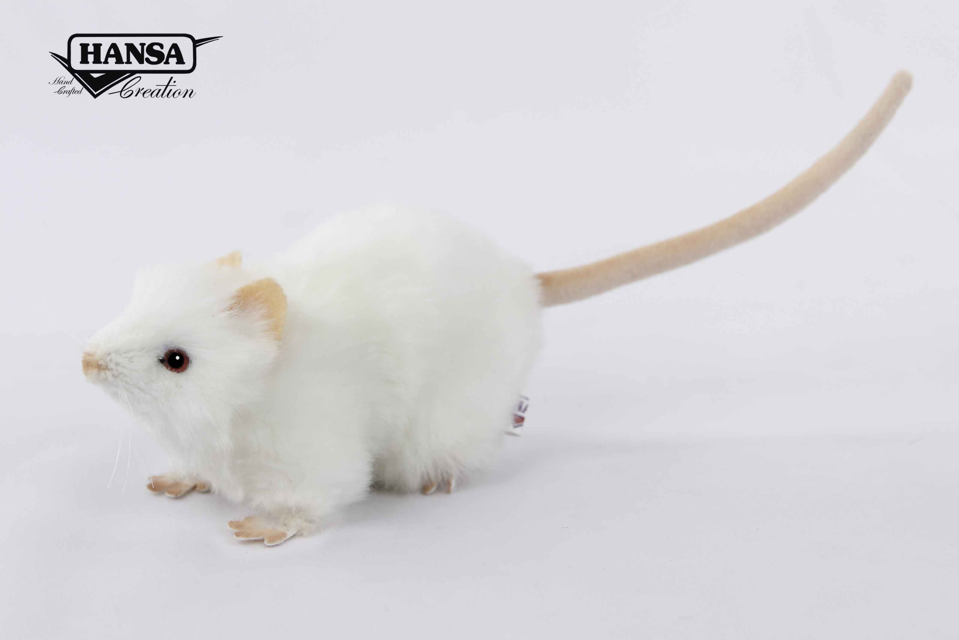 7529 White Rat 19 cm. L