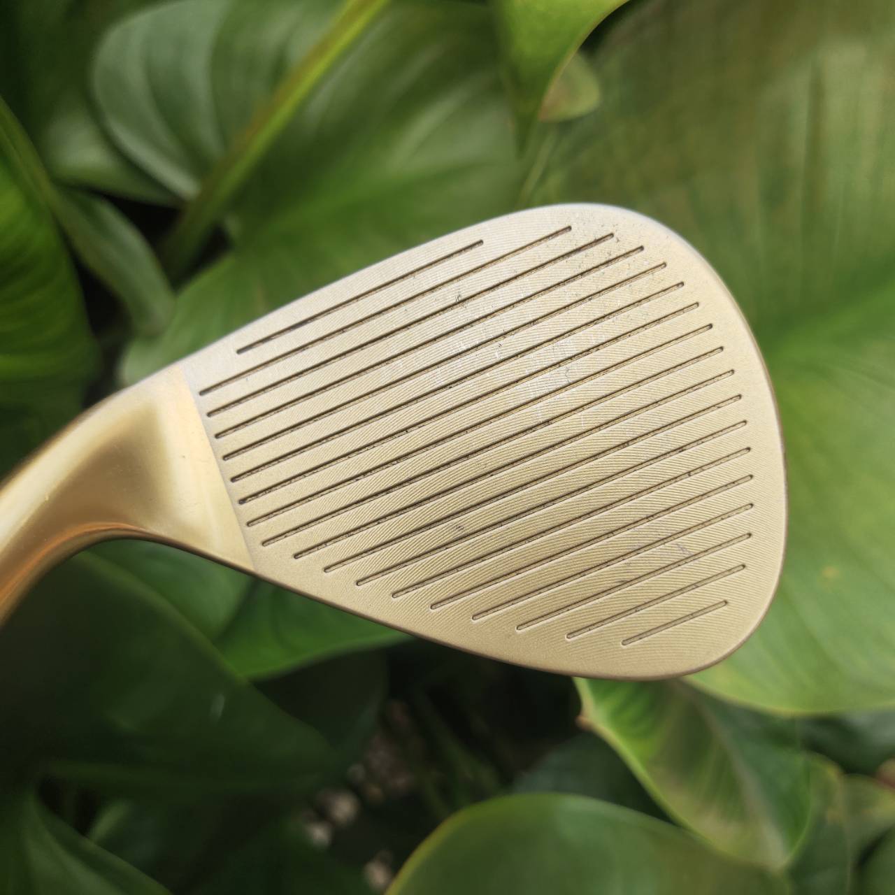 WEDGE EXCEED องศา 58 สีทองหรูหรา หน้าตะไบโหดจัด ตกหยุดถอยหลังแบบสับๆเลยค่ะ