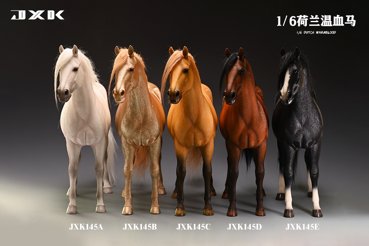 [สั่งจอง]JXK 1/6 : Dutch Warmblood