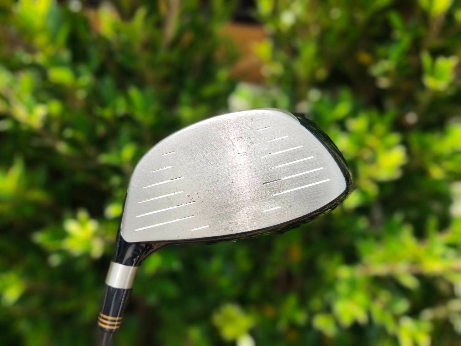 DRIVER SPALDING W-302 COR 0.83 หน้าเด้งมากๆ
