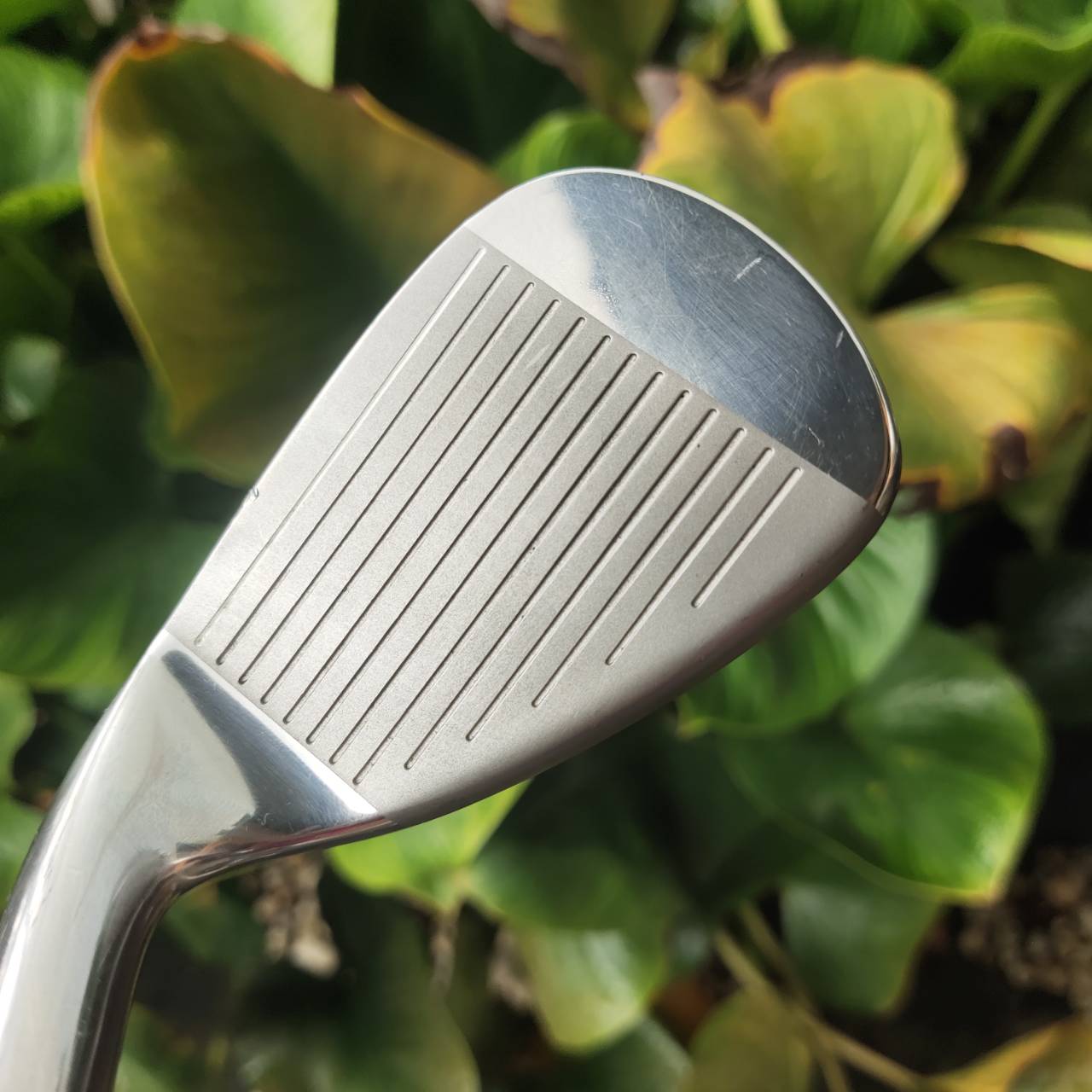 ชุดกอล์ฟเด็ก TOP FLITE XLj เหมาะกับเด็กที่มีส่วนสูงประมาณ: 🔸 135–145 ซม.