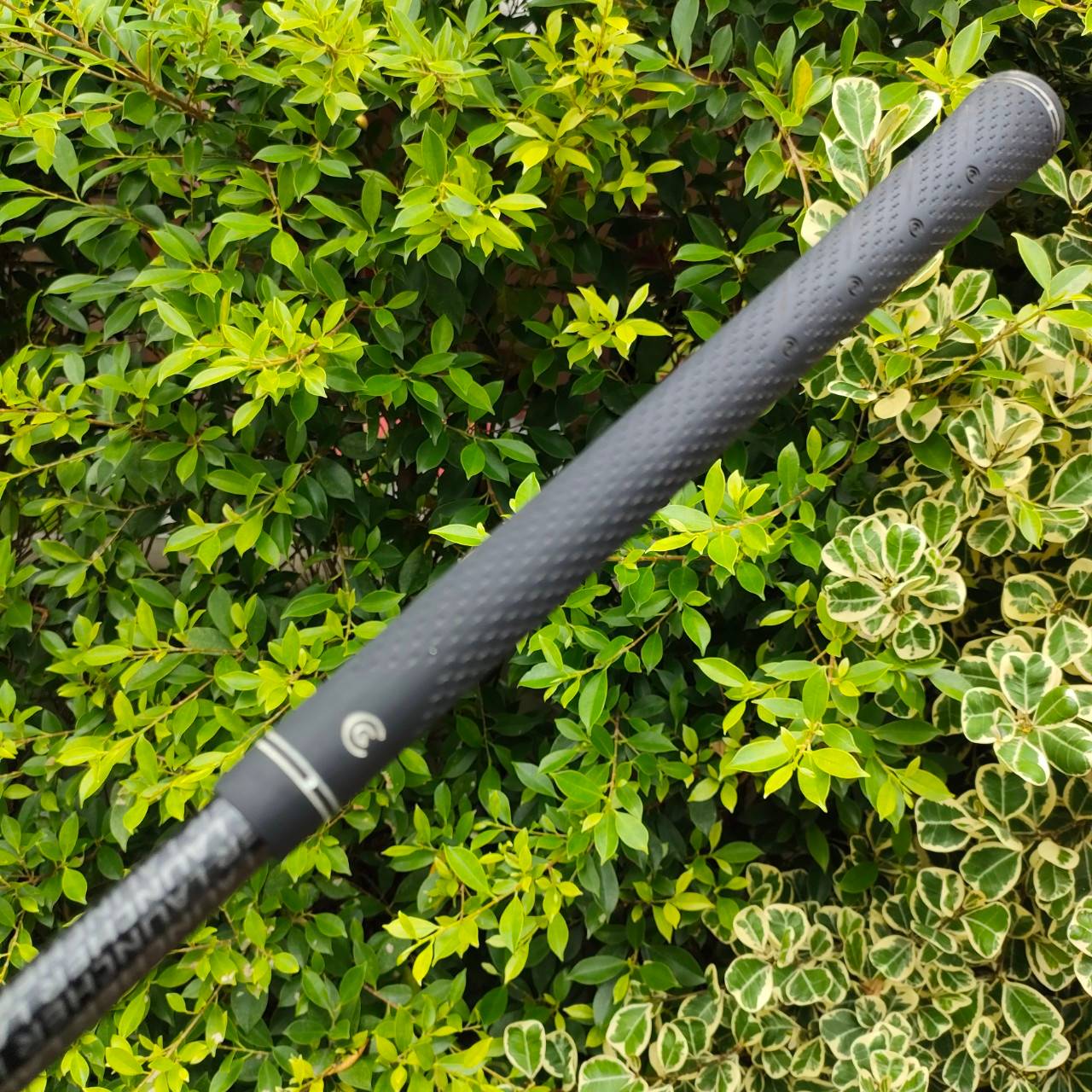 FW5 CLEVELAND LAUNCHER COMP องศา 19 กระดองคอมโพสิท ก้าน LAUNCHER FLEX S มาพร้อม COVER เดิม สภาพสวยจัด CG ต่ำมากเพราะกระดองเป็นเคฟล่า ทำให้ตีลูกลอยได้ง่ายที่สุด และ ตีไกลมากๆ กระดองเด้ง ราคาหวานมาก!!!