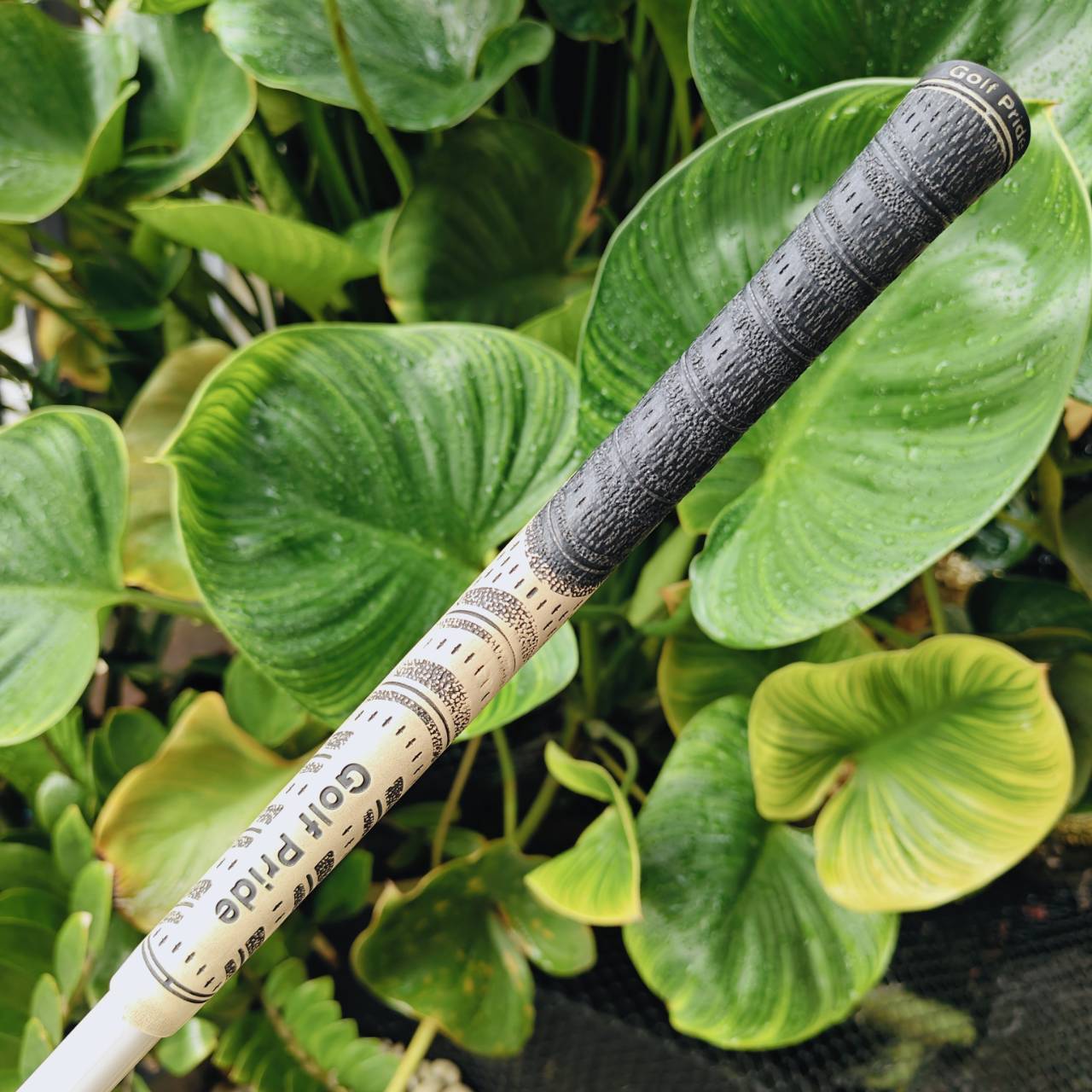 DRIVER TAYLORMADE R7 425 องศา 9.5 ขนาดหัว 425 CC. วิจัยออกมาแล้วว่าตีตีไกลที่สุด ก้านโม TOUR AD